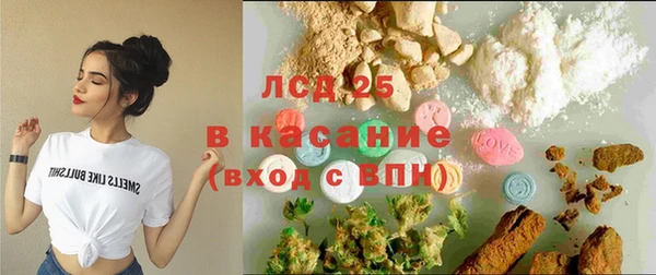 винт Верея