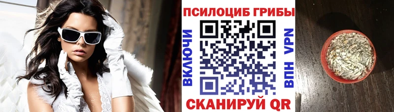 Галлюциногенные грибы Psilocybine cubensis  ссылка на мегу   Кизел 